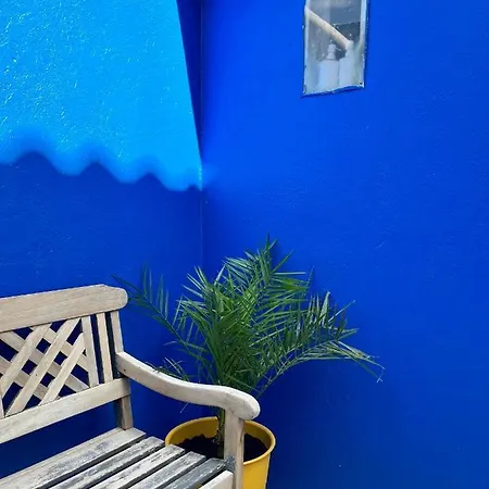 Petite Majorelle *