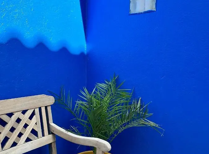 Petite Majorelle *